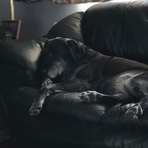 Meet your Posher, Donna